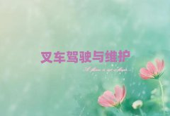 ƽѧ泵֤ǰ10