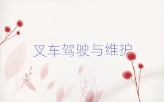 泵֤ѵĸ
