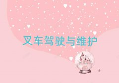 ƽѧ泵