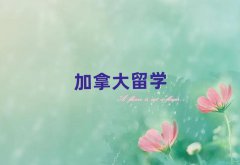 ôѧǸнʮ