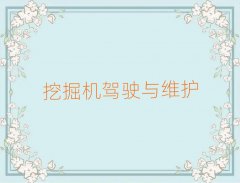 ѵھ˾֤,ѵھ˾֤ǰ10
