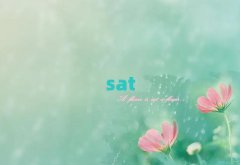 satѵѧУĸ