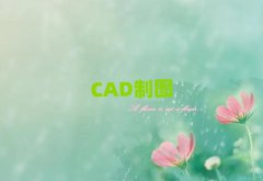2024곣CADѧ