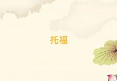 2025toeflרҵѵ