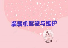 2025ƽװػѵôǰʮ
