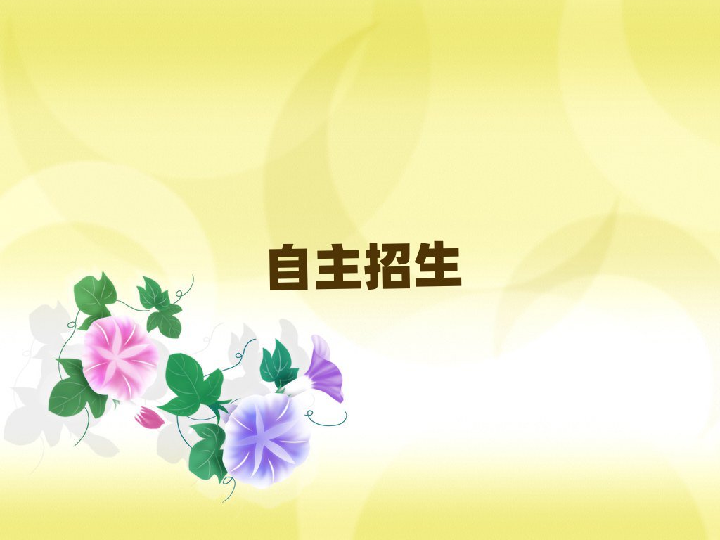2019ѵ
