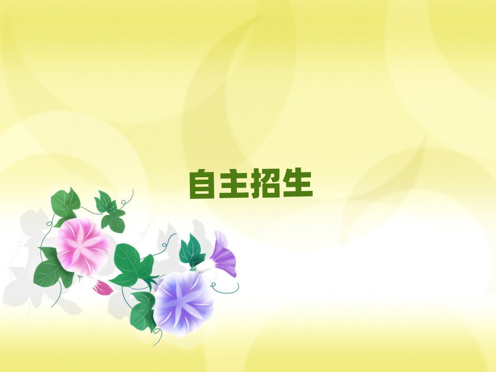 2019°רҵѵ