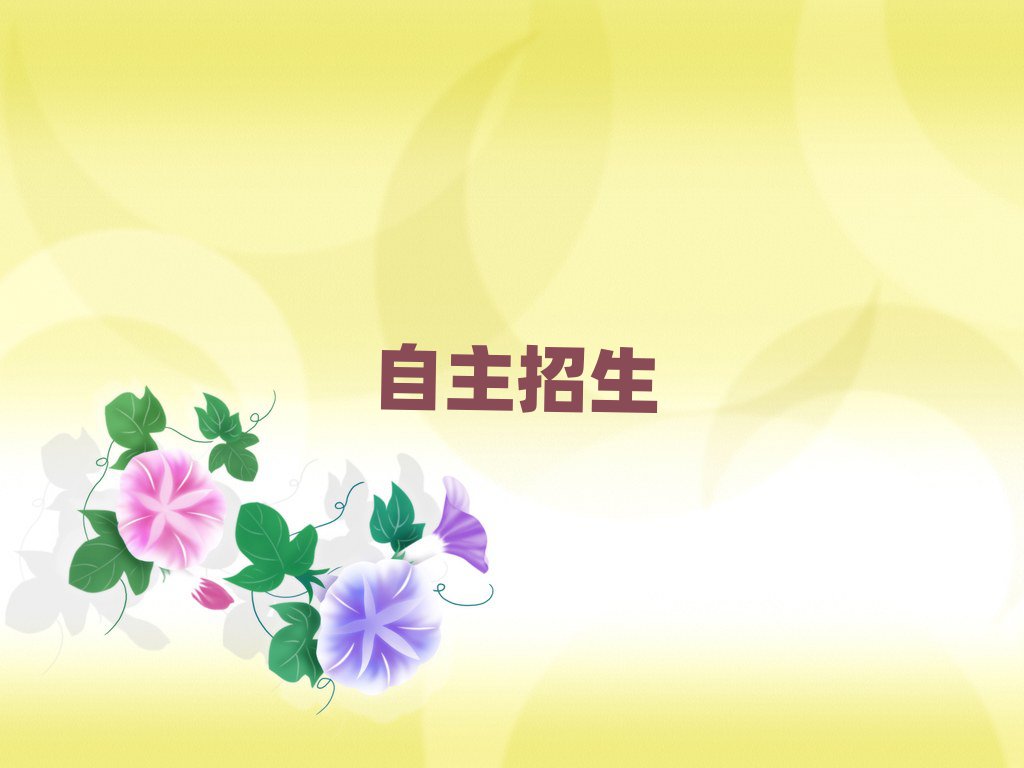 2019ѵ,ѵ