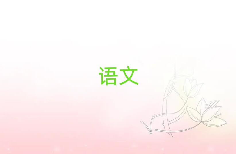 2019̫ѧѵ