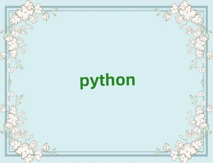 2019python