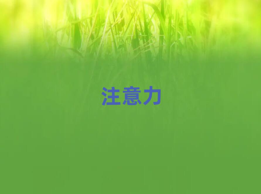 ĿѧӶද֢