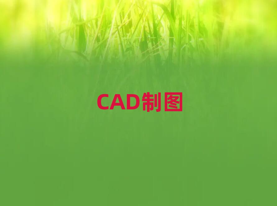2019ɽƽưҵѵ