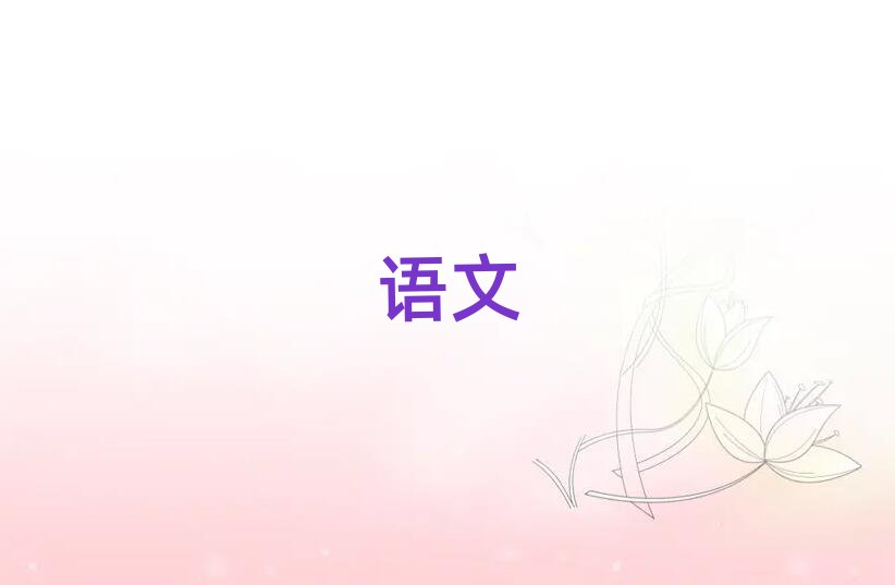 2019°̫רҵѧѵ