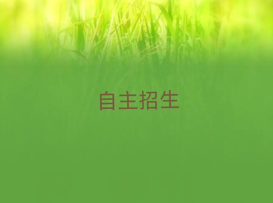 2019ѵ