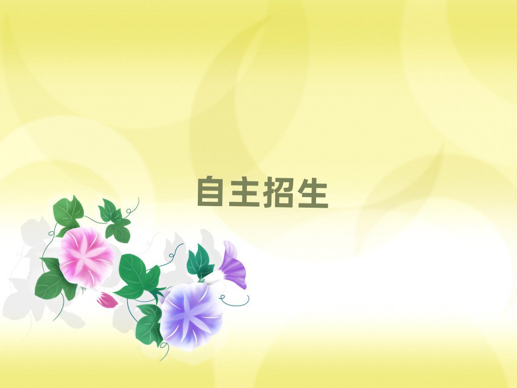 2019꺼ݲػѵ