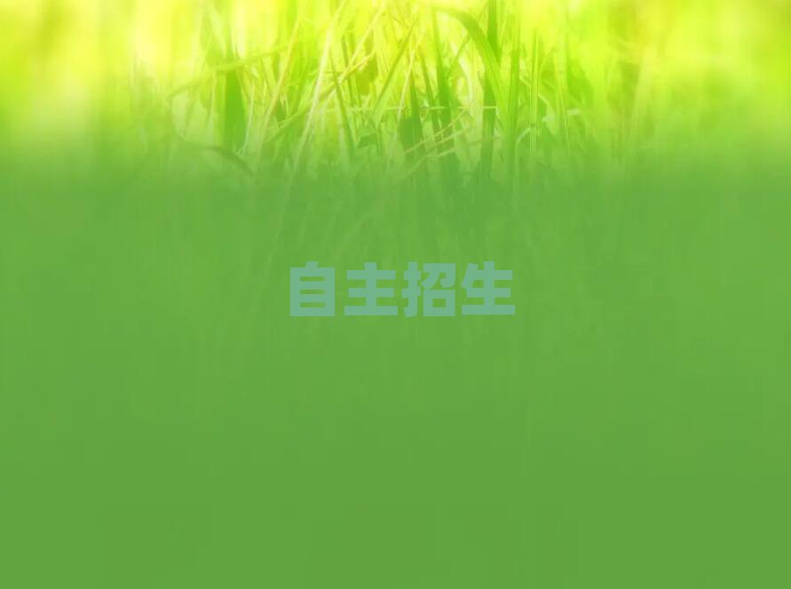 2019ʹѵ