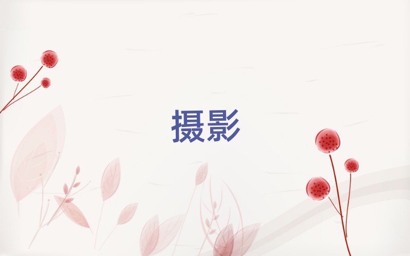2019ƽѧӰʲôѧУ