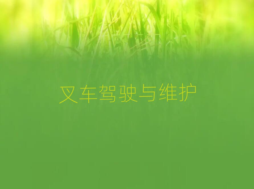 2019山õ泵ѵѧУ