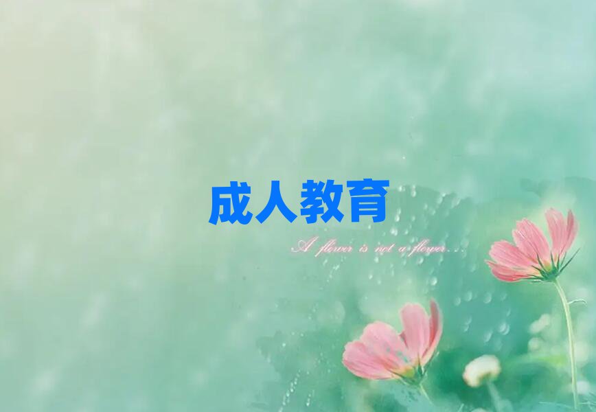 2019ʵӢ