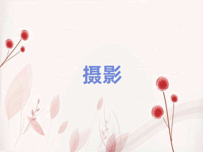 2019ӱӰʸѵ
