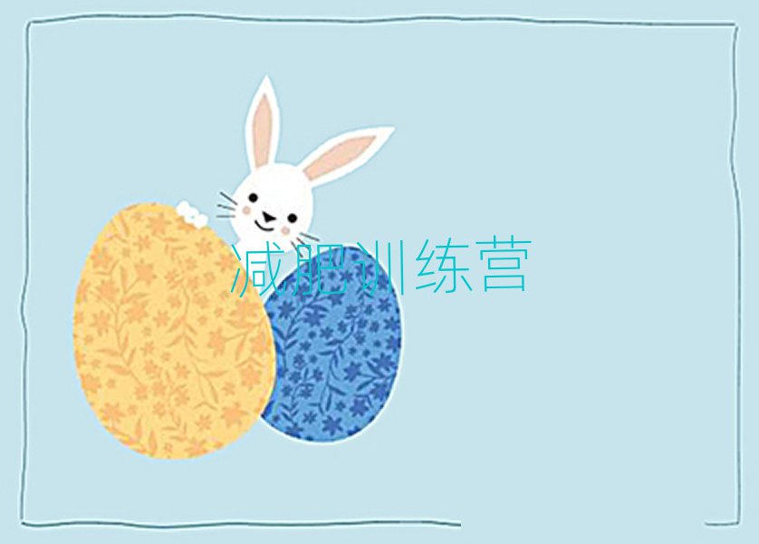 2019֣ݼħʽѵӪ