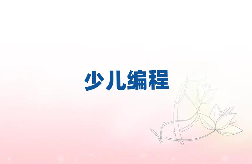 2019·noipѵ