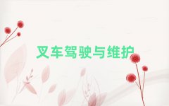 2025Ӣѵ