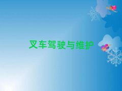 2025ѧʵӢ