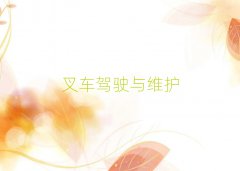 ѧʵӢ