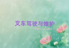 ѵ