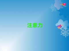 2025ɽٶද֢ѵǰʮ