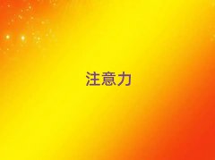 2025곤ɳٶද֢ѵѧУ