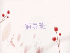 ɽСѧĲϰ