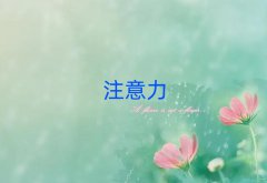 ɽٶעѵҪǮ