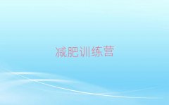 2025ȫʽѵӪ
