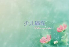2025人noipѵ