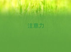 20256Ϻʮٶද֢ѵ