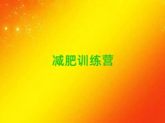 2025ˮʮѵӪ