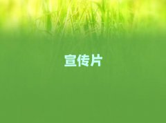 ǰʮҵƬǮ
