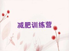 2025ƽʮѵӪ