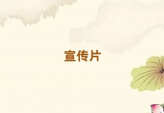 ǰʮҵƬǮ