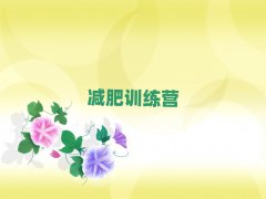 2025ȷʮħѵӪ