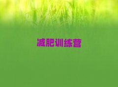 2025ԹʮѵӪļҺ