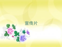 ϵʮҵƬ㹫˾