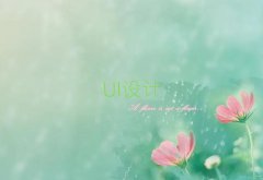 UIڰ