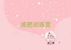 ʮѵӪ