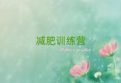 2025ͷʮ˵ļѵӪ