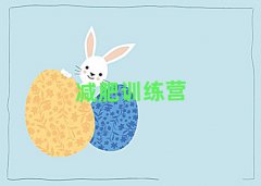ݼʴѵӪ