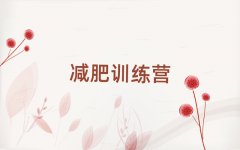 2025һ¼ѵӪ
