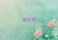 2025꿪õĳĲϰ
